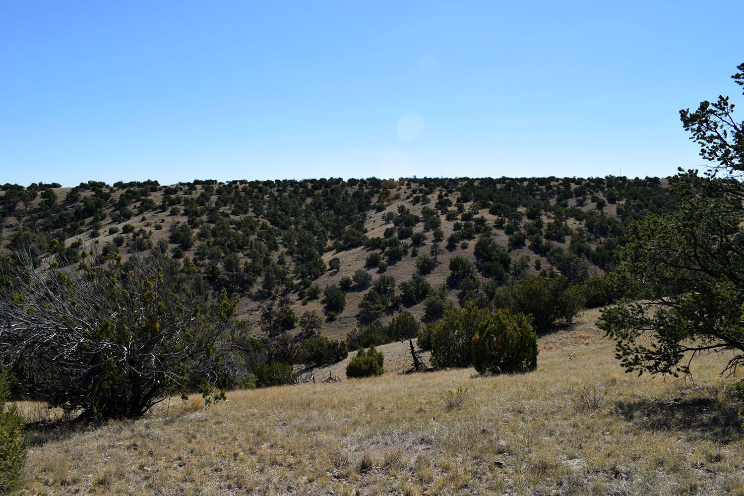 202 RIDGE VIEW Road
