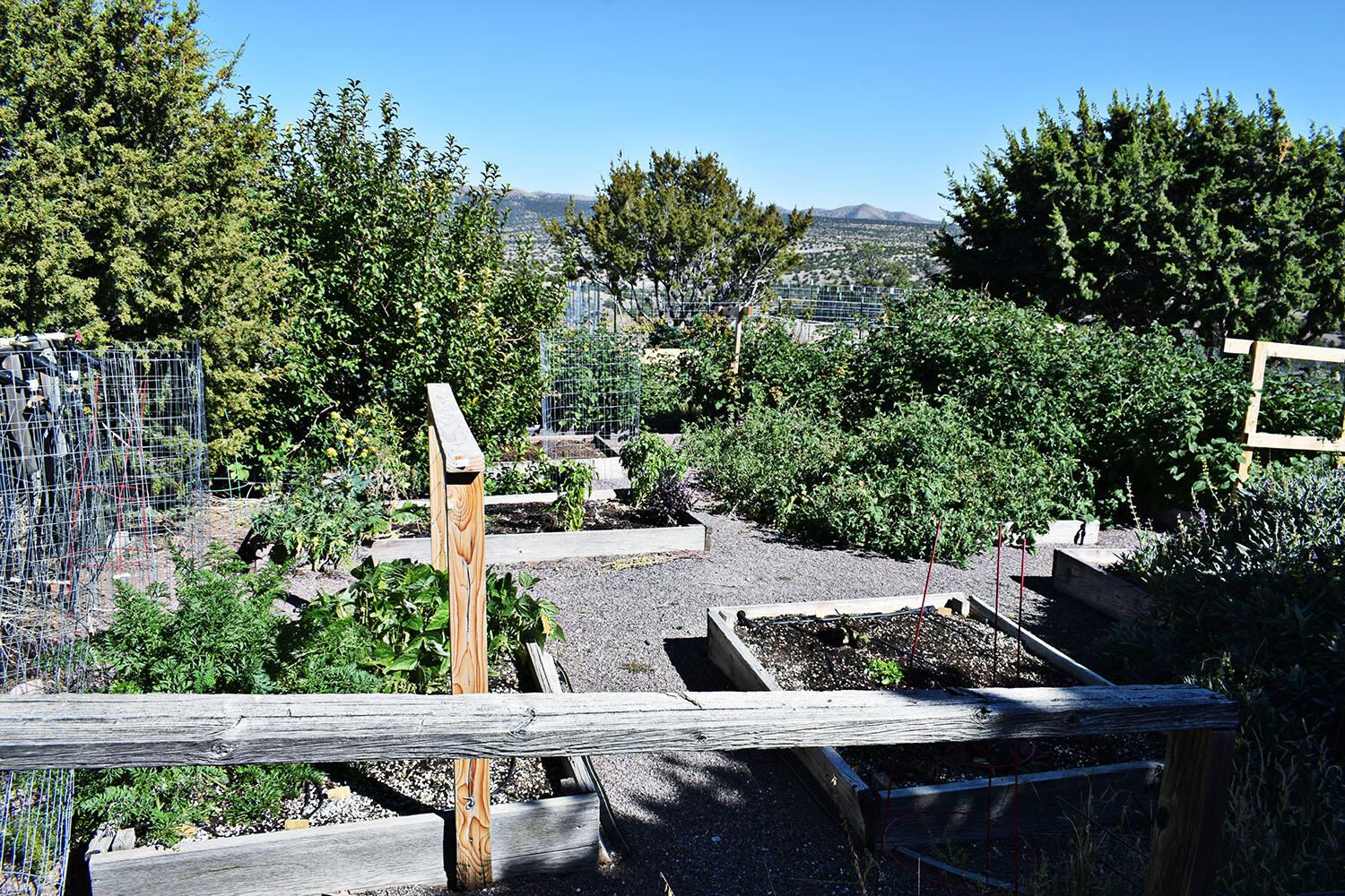 202 RIDGE VIEW Road