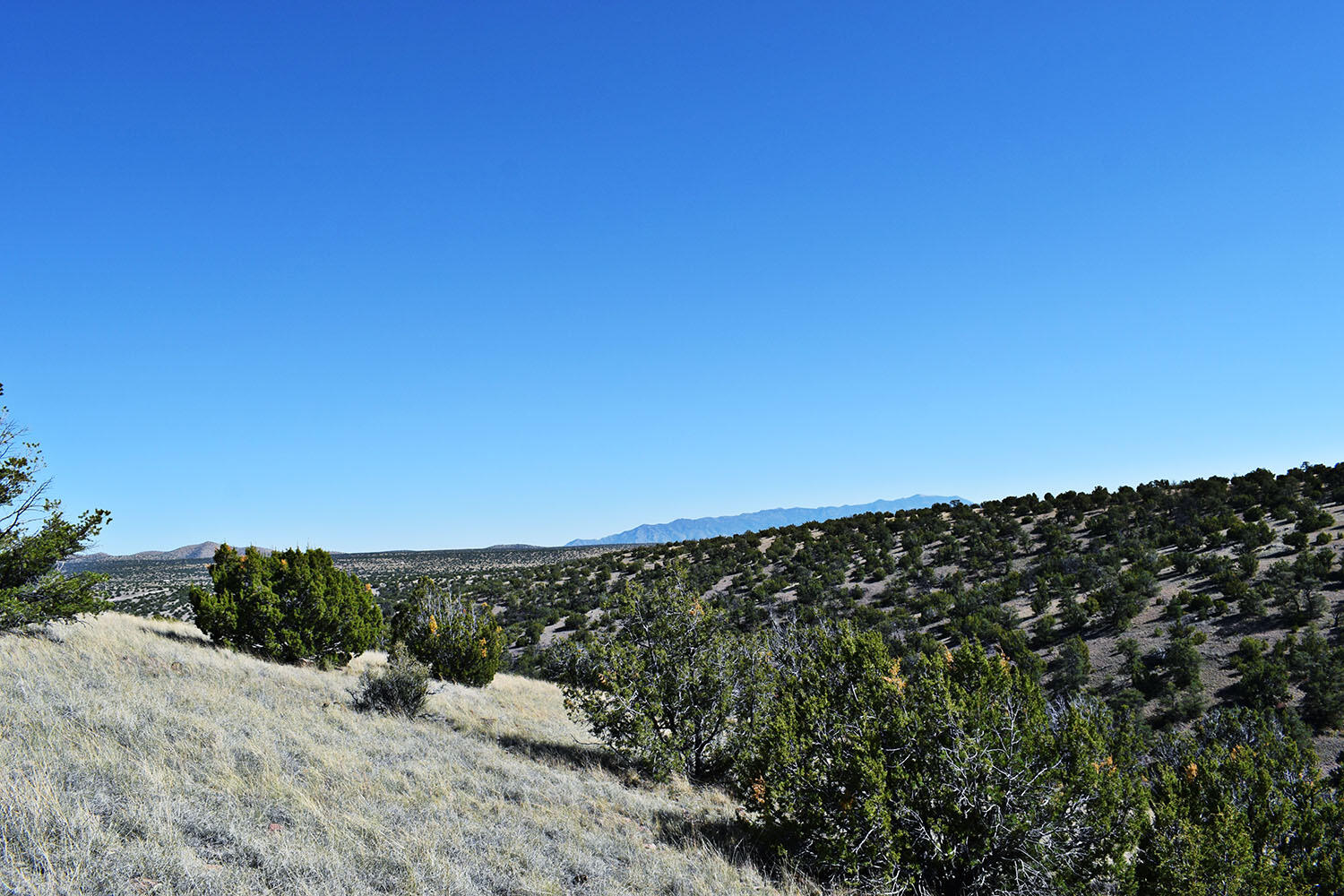 202 RIDGE VIEW Road