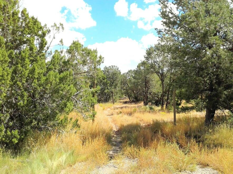 165 JESSE JAMES Road