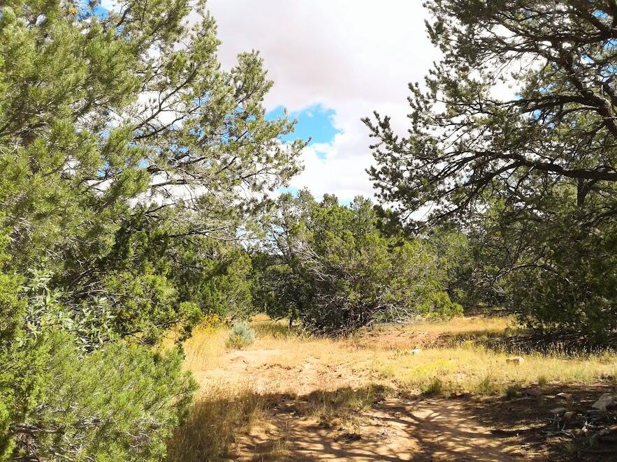 165 JESSE JAMES Road