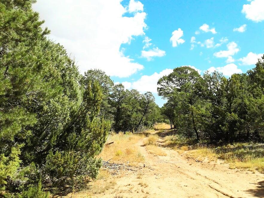 165 JESSE JAMES Road