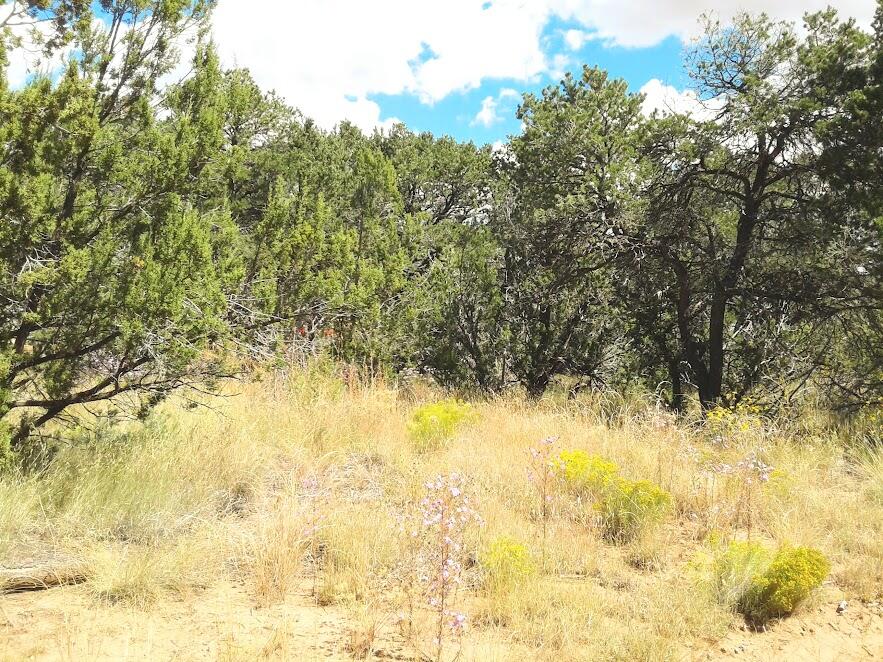 165 JESSE JAMES Road