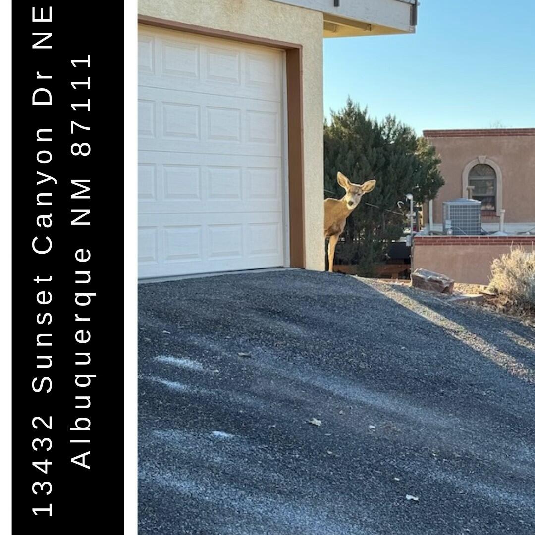 13432 SUNSET CANYON Drive NE