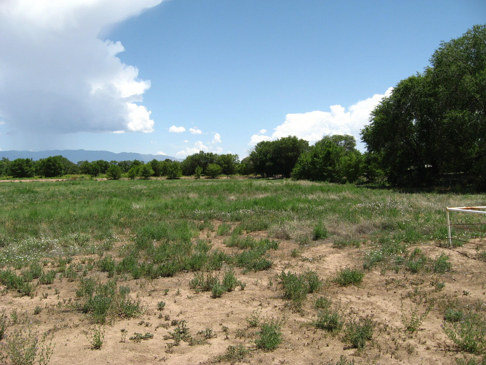 Tract 77a & 77b1