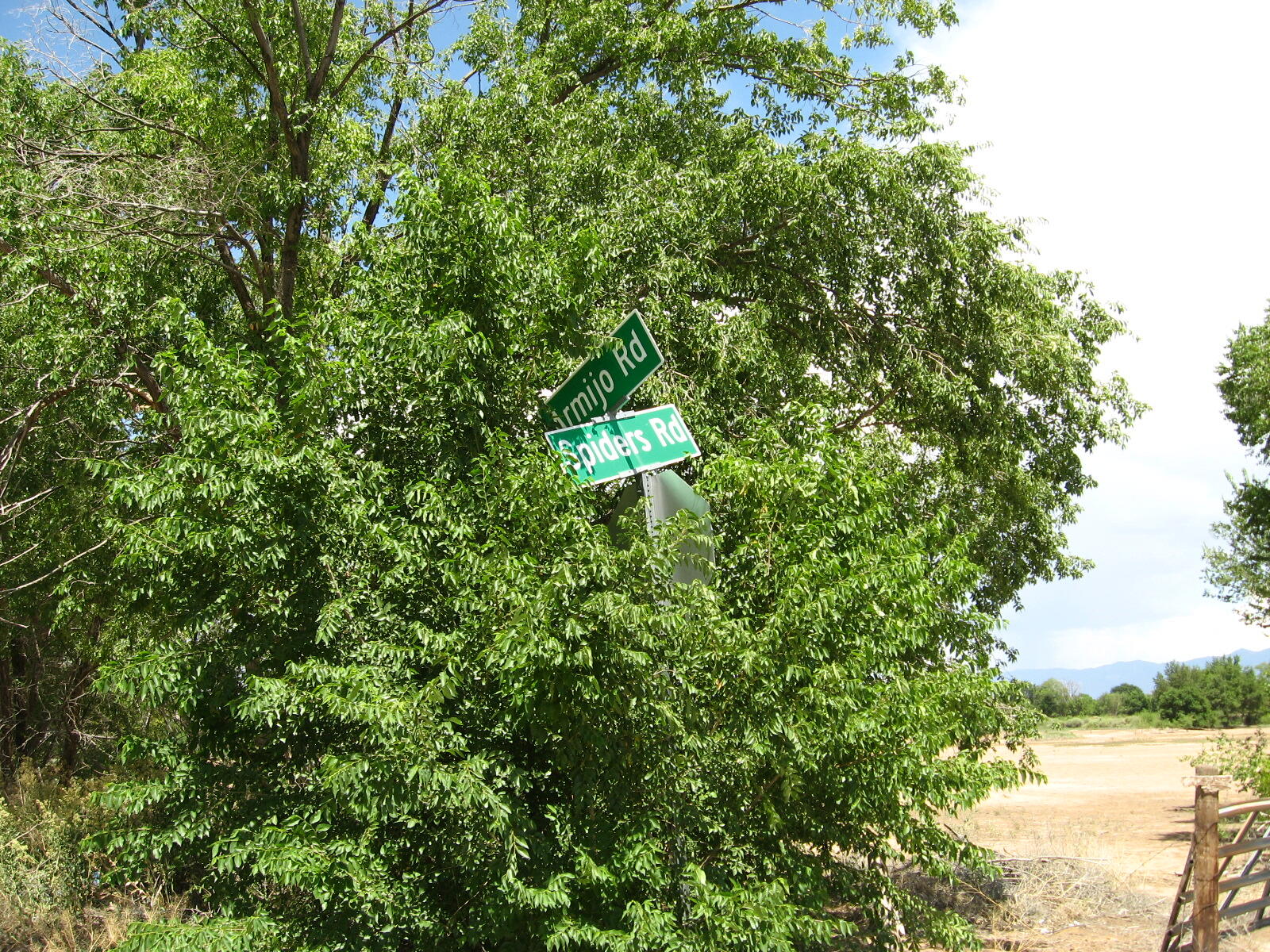 Tract 77a & 77b1