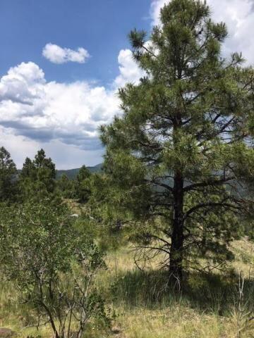 Vista Grande Tracts 1 & 2