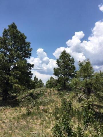 Vista Grande Tracts 1 & 2