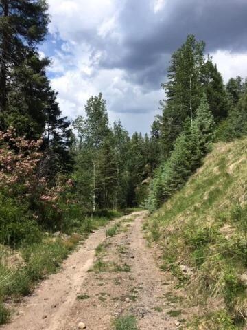 Vista Grande Tracts 1 & 2