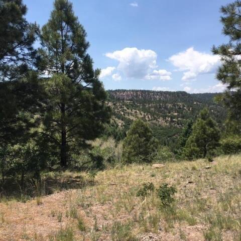 Vista Grande Tracts 1 & 2