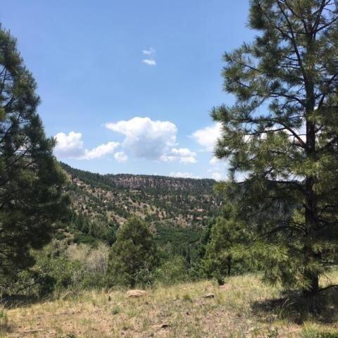 Vista Grande Tracts 1 & 2