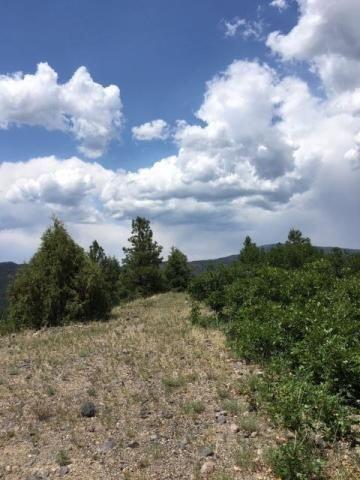 Vista Grande Tracts 1 & 2