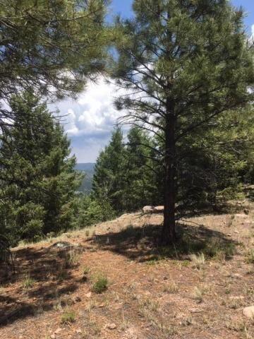 Vista Grande Tracts 1 & 2