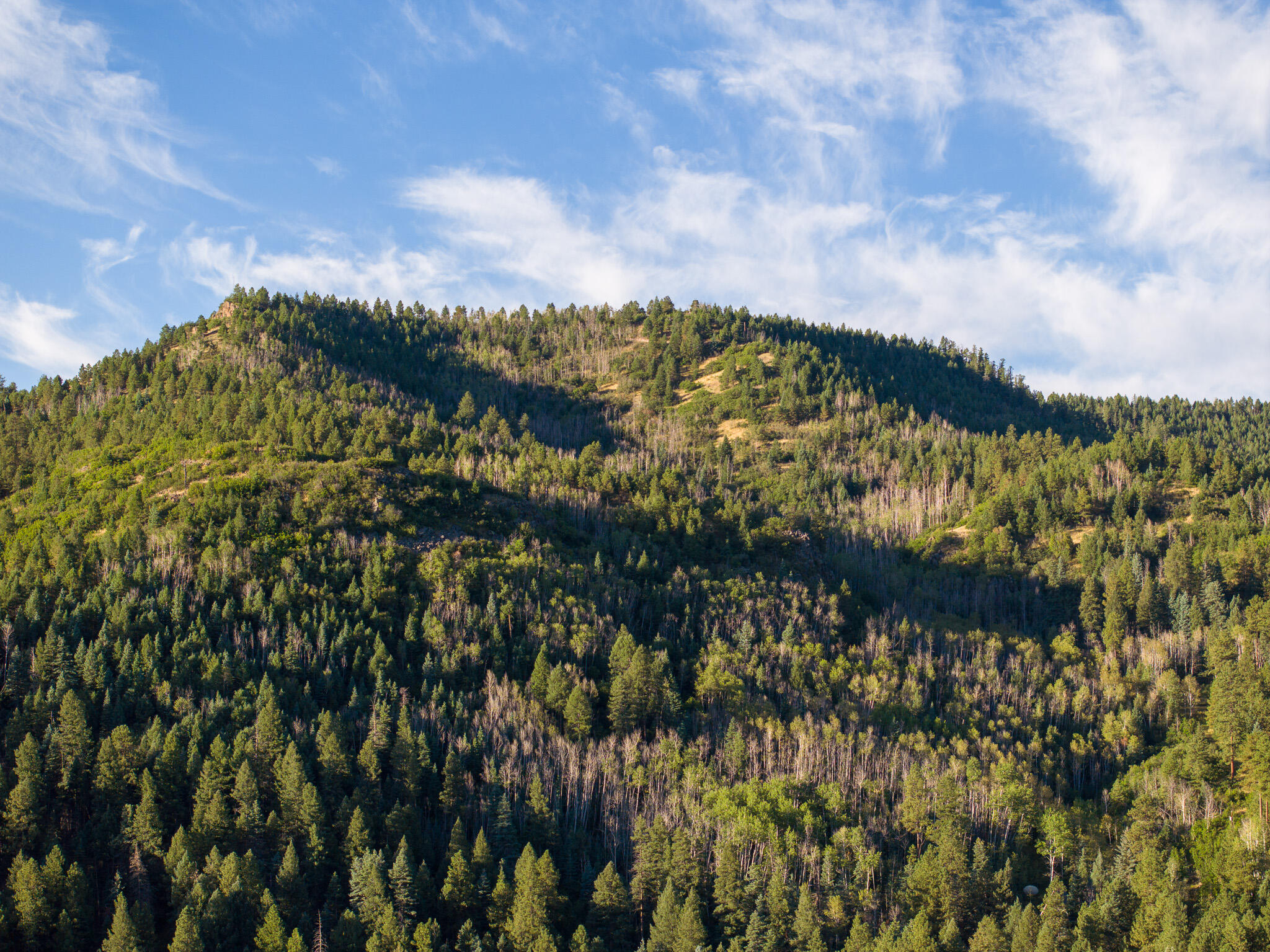 Vista Grande Tracts 1 & 2