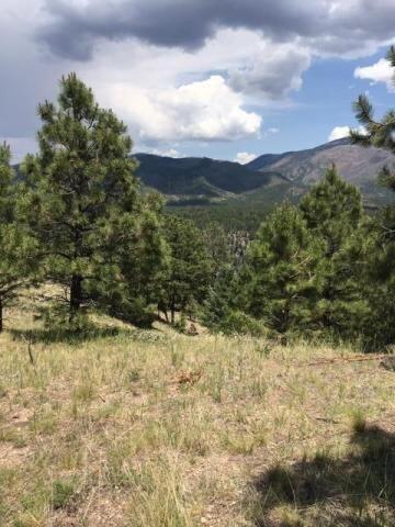 Vista Grande Tracts 1 & 2