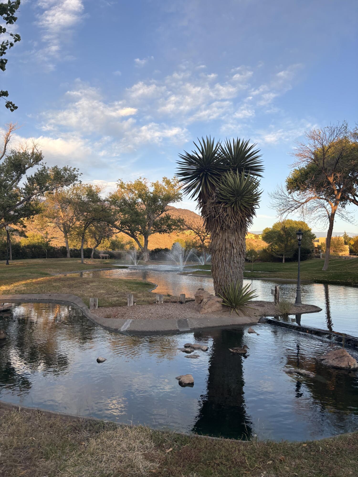 13328 LODESTONE Trail SE