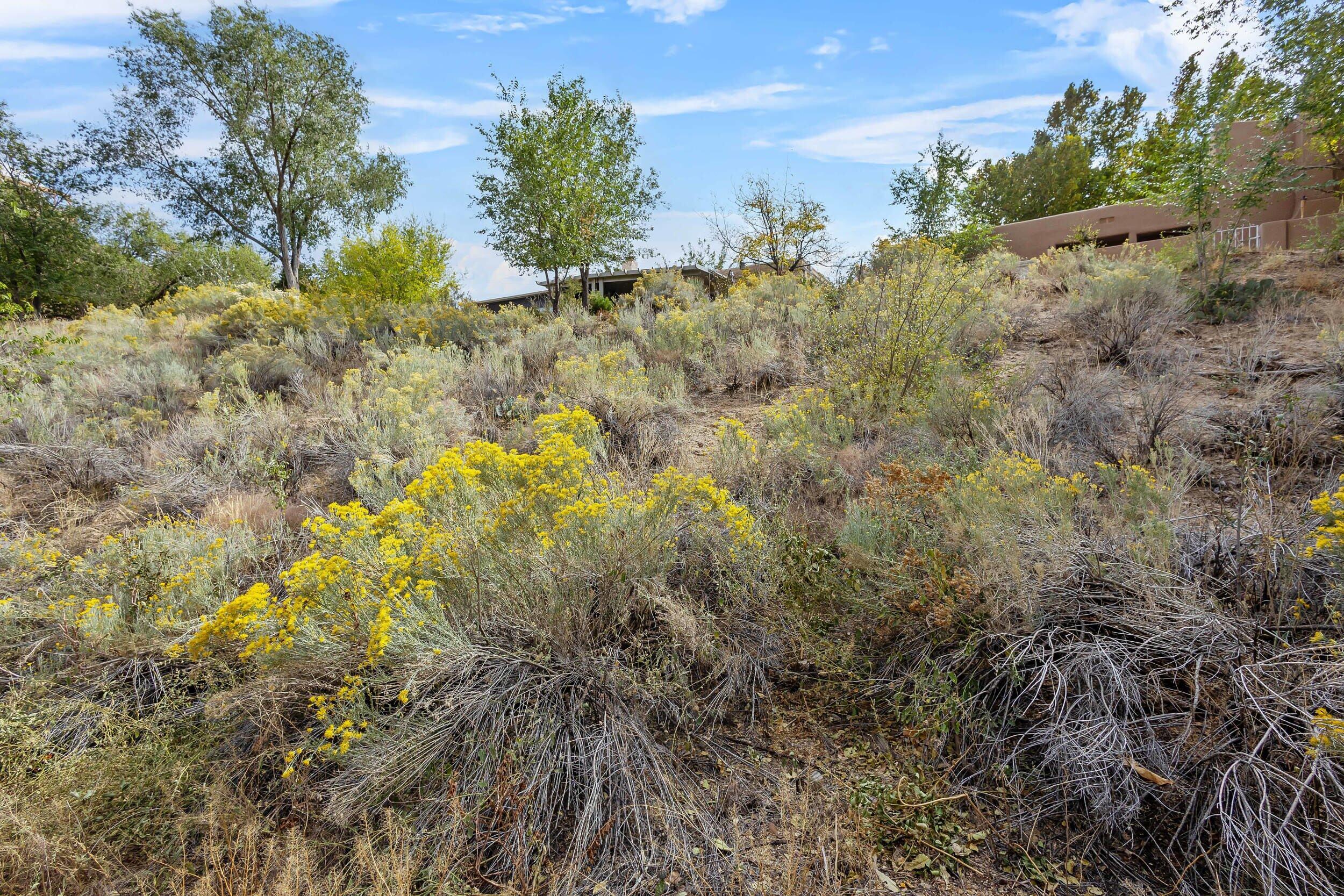 13328 LODESTONE Trail SE