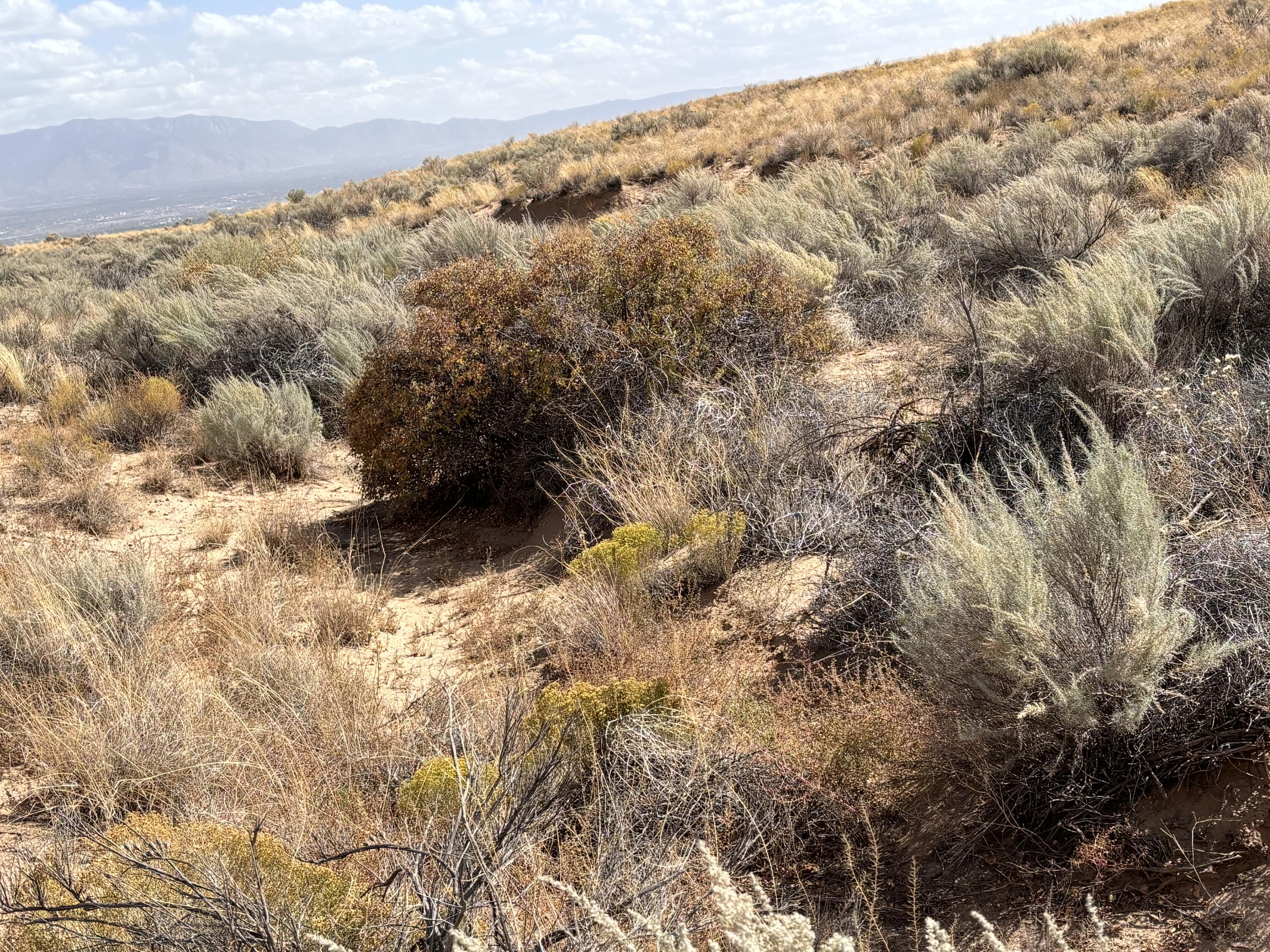 TR 7 Volcano Cliffs Unit 9 9