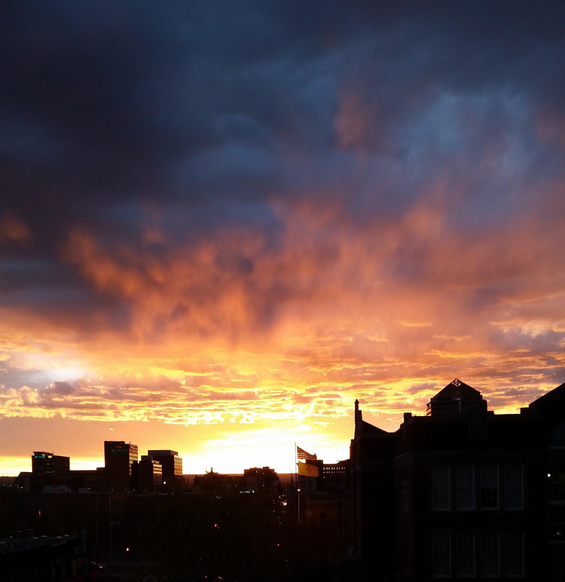 401 Central Avenue APT 301