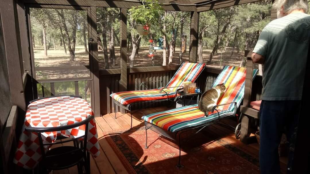 33 HOLLI Loop