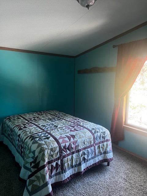 33 HOLLI Loop