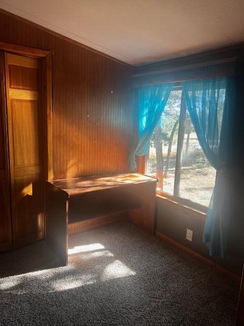 33 HOLLI Loop