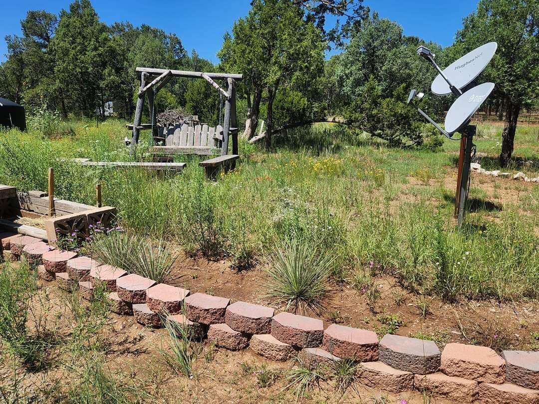 33 HOLLI Loop
