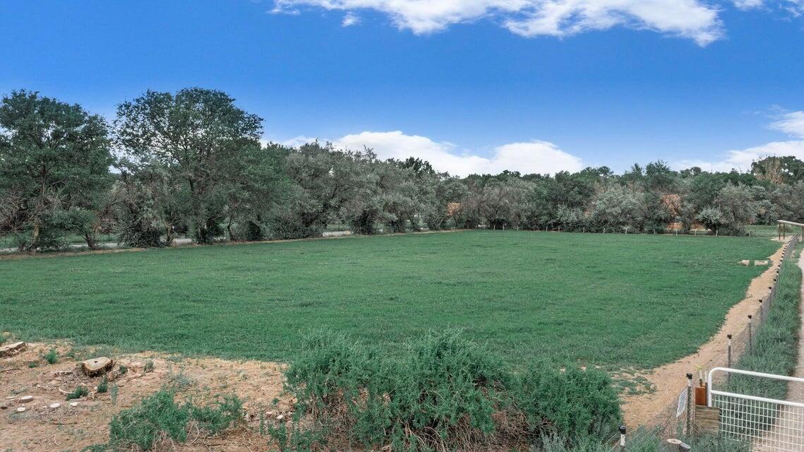Behkne Road