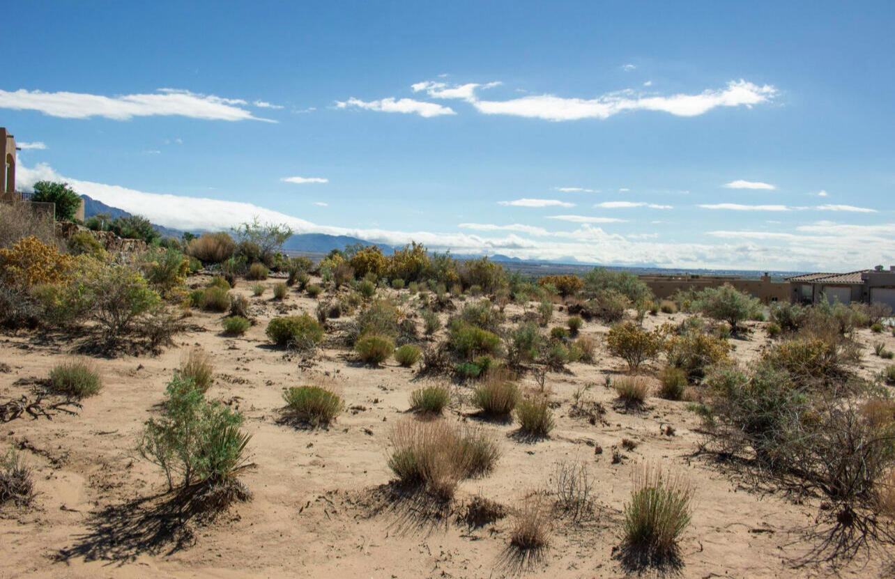 Milpa Alta Road