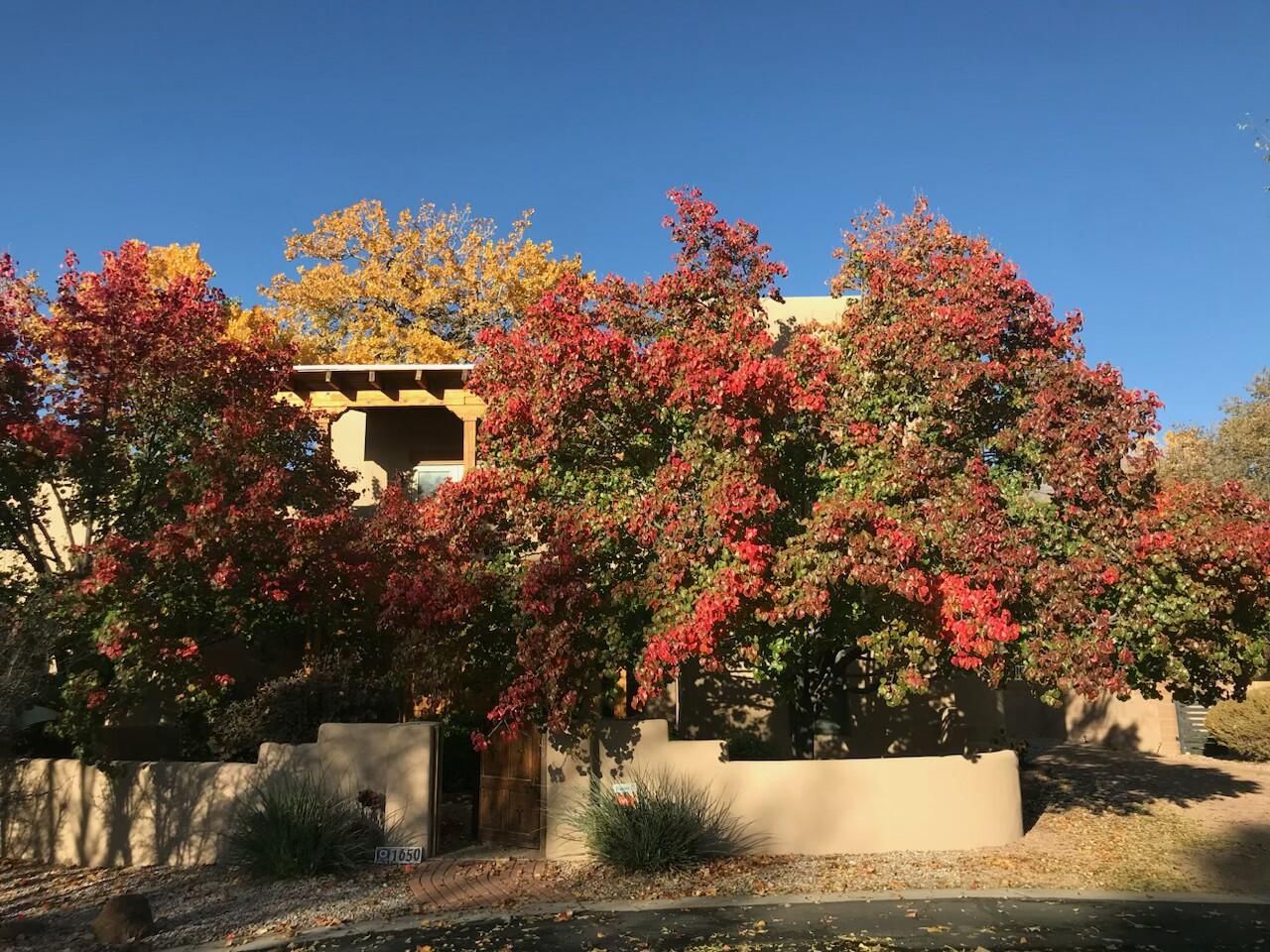 1650 RANCHO GUADALUPE Trail NW