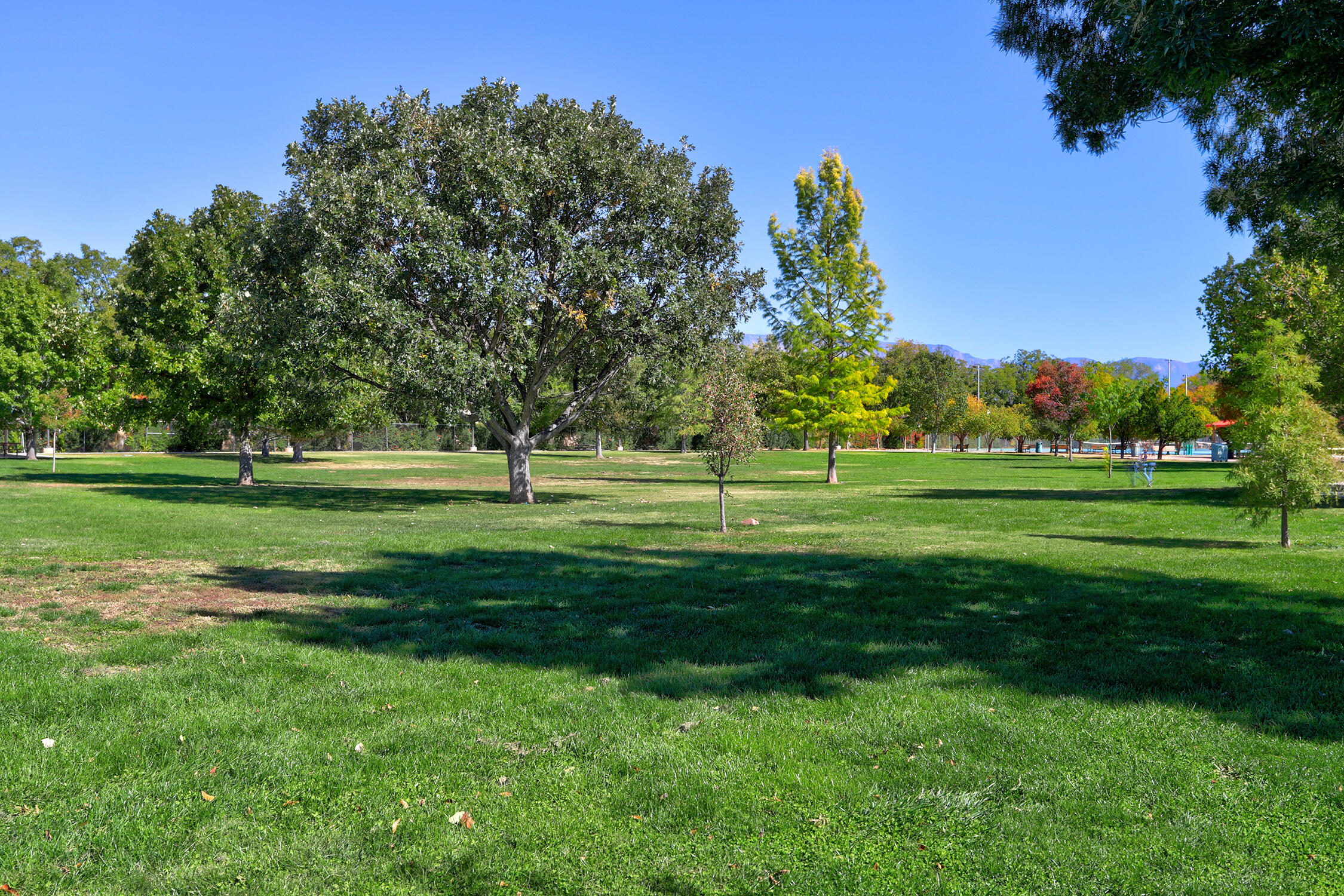 1650 RANCHO GUADALUPE Trail NW