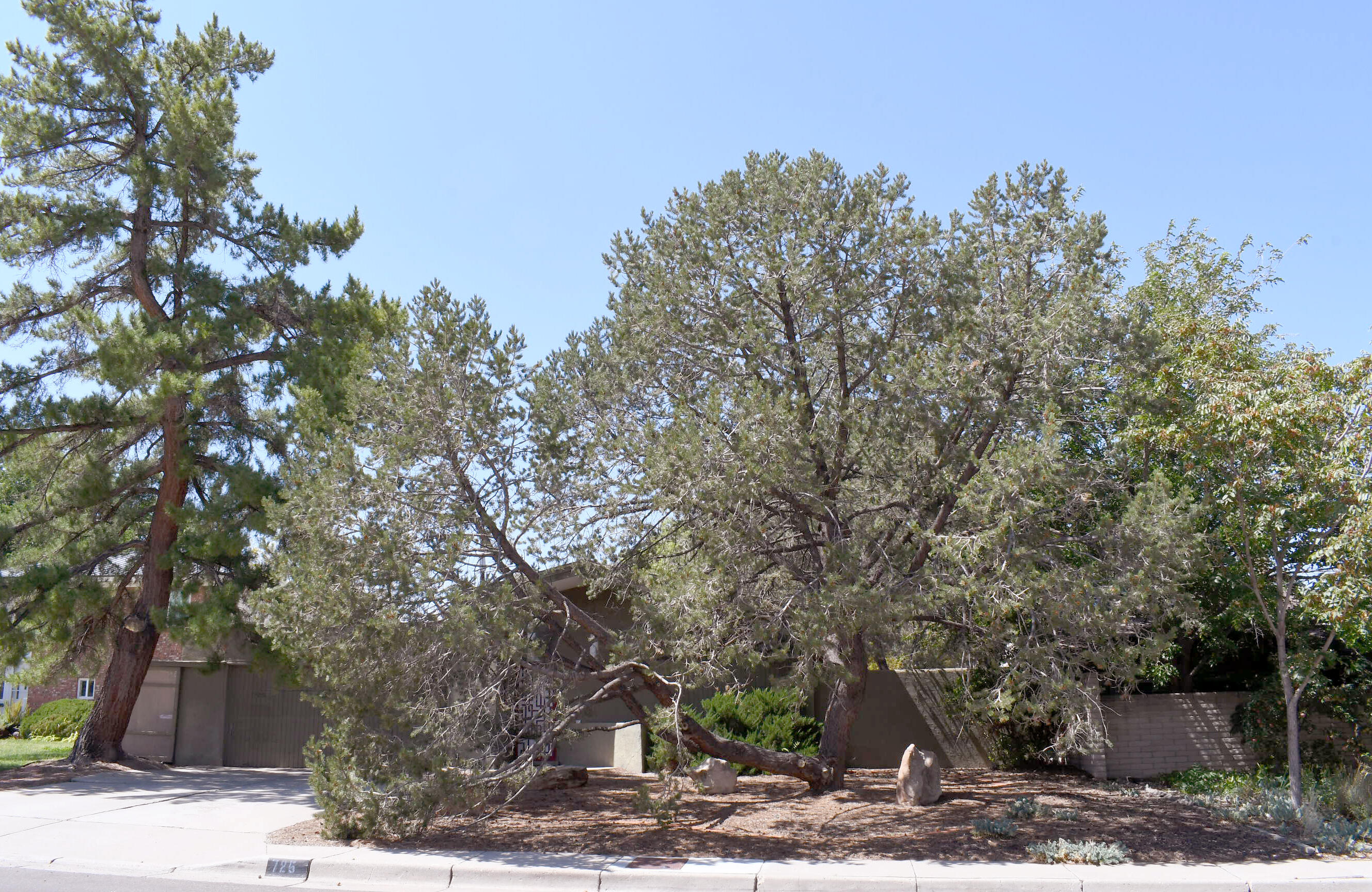 725 VALVERDE Drive SE