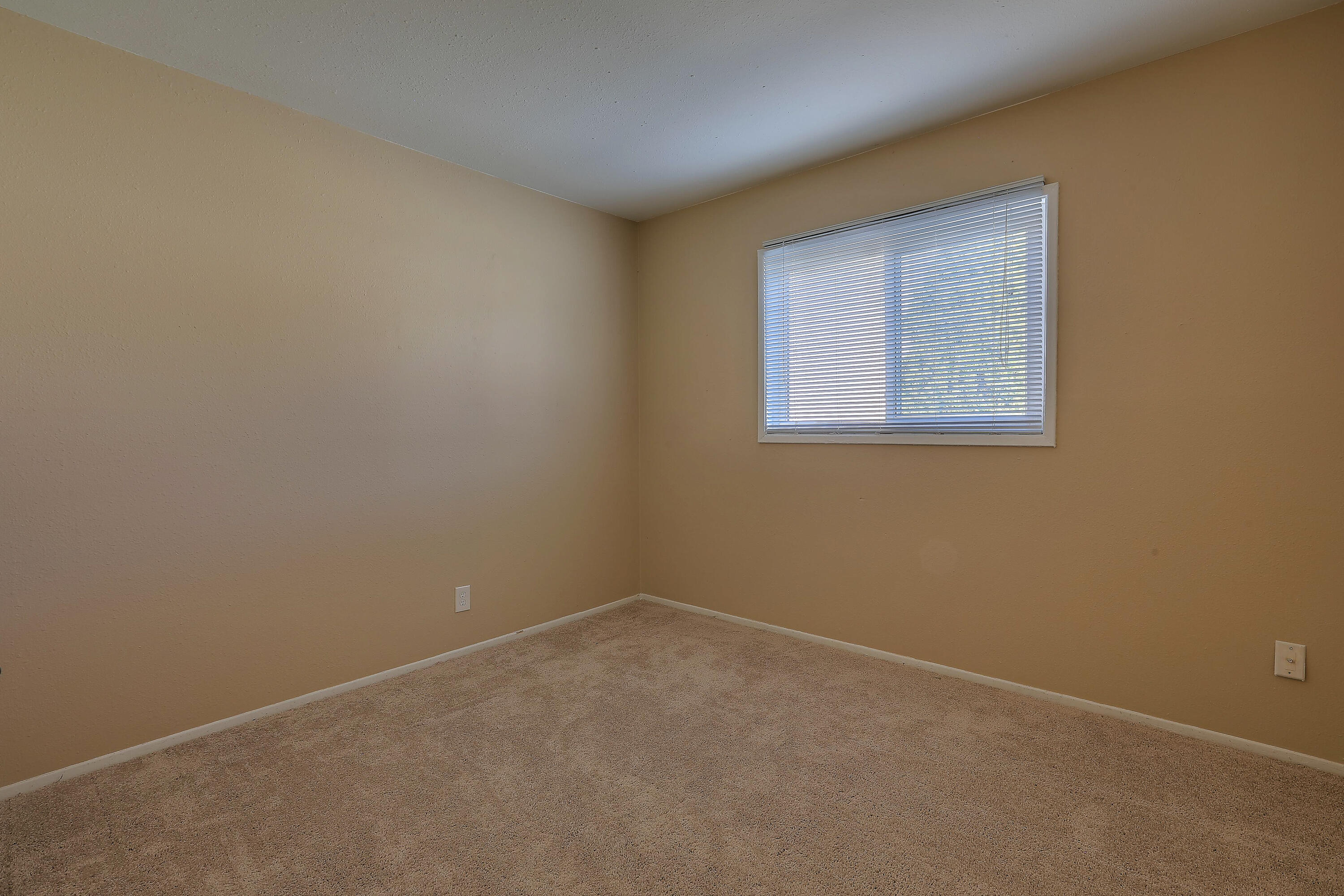10309 NORMAN Avenue NE