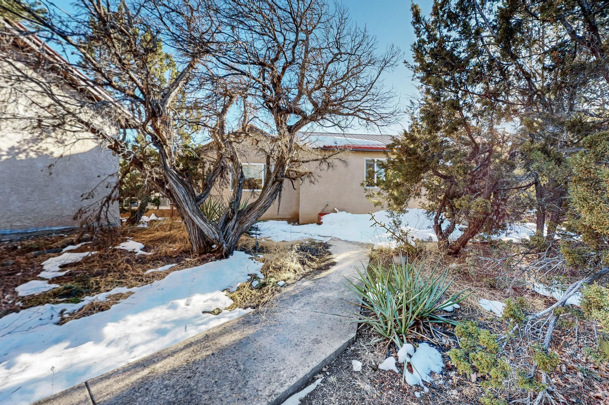 11 Lucas Road