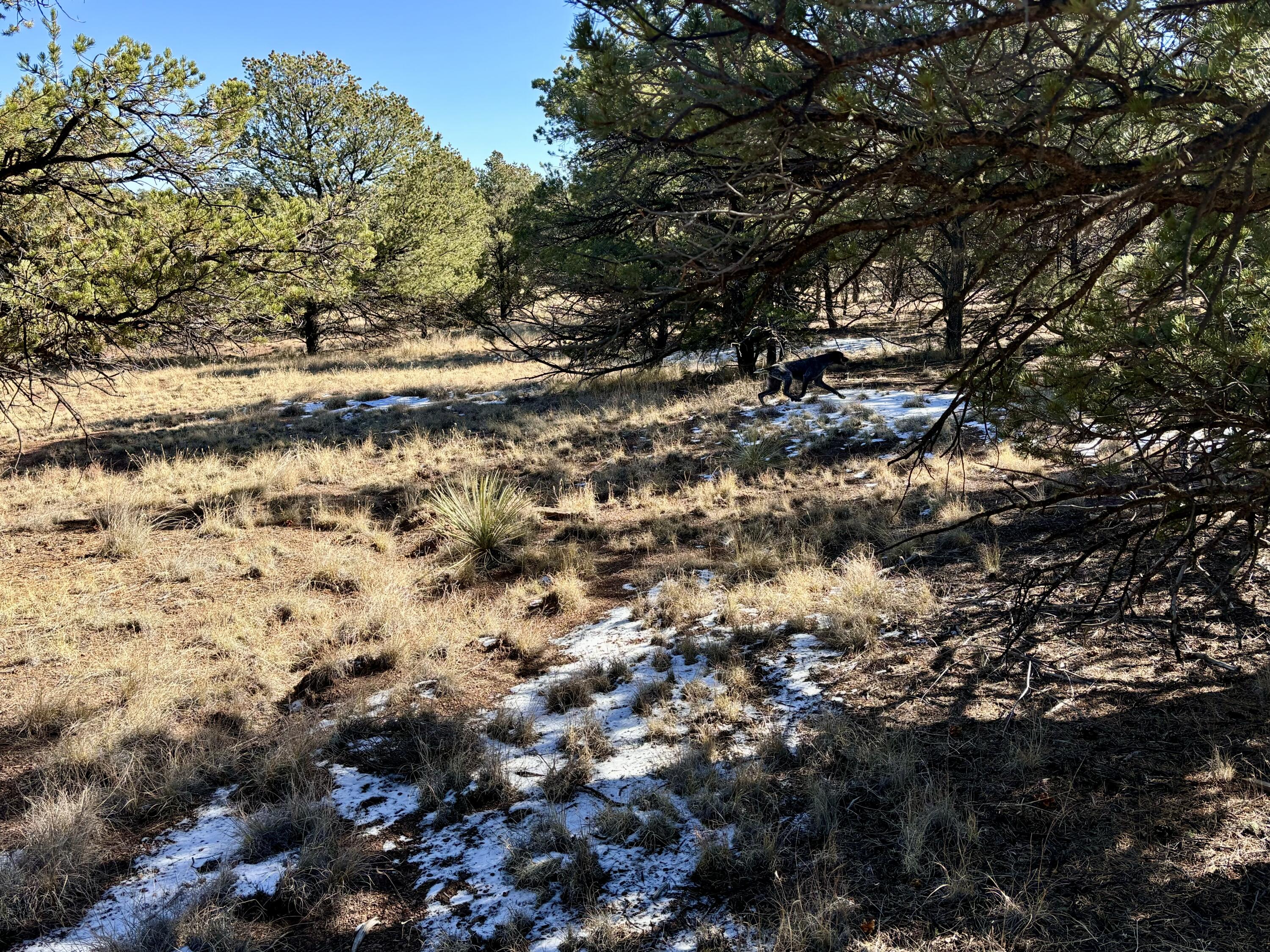 Lot 163 Windmill Drive