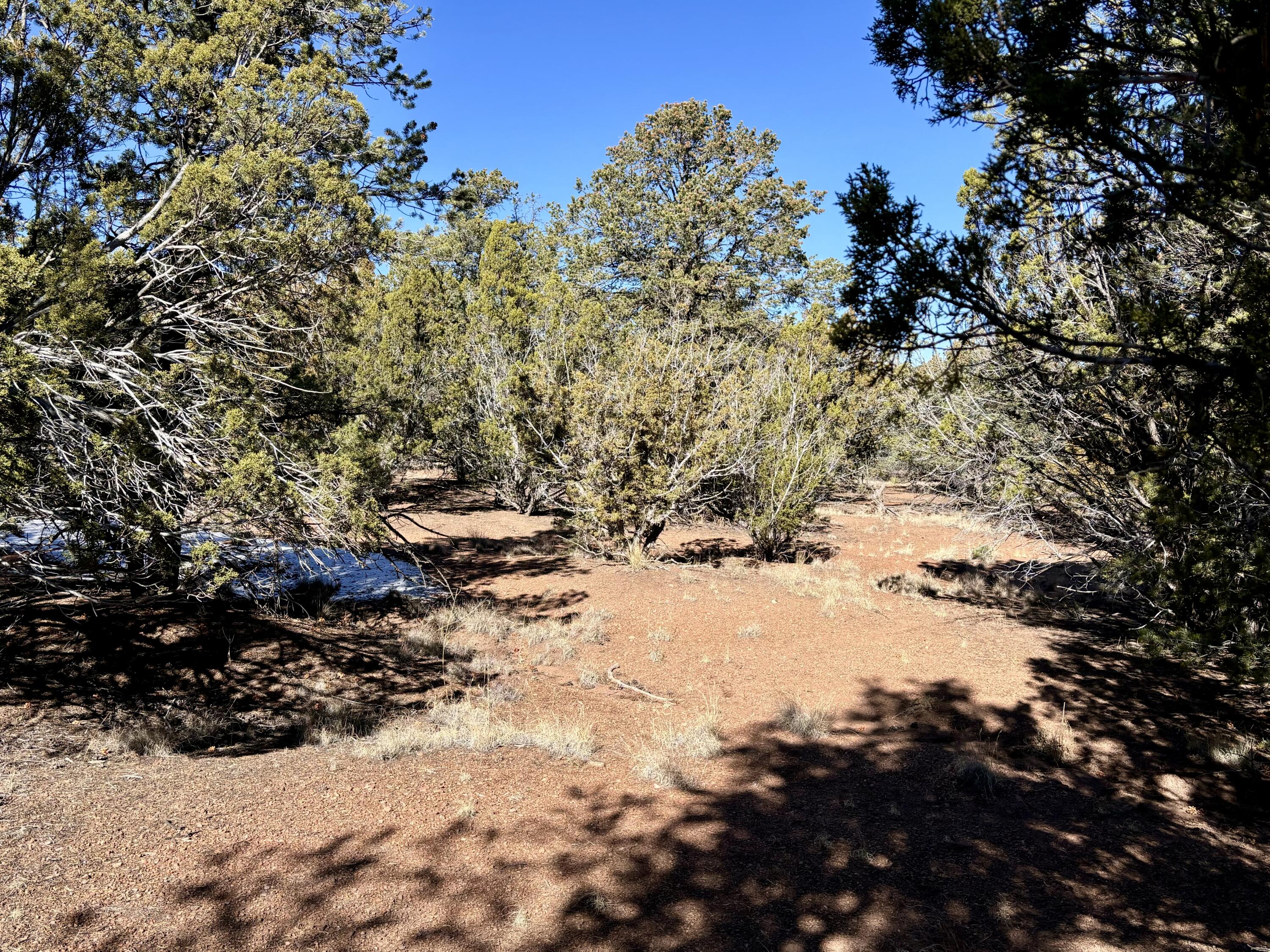 Lot 163 Windmill Drive