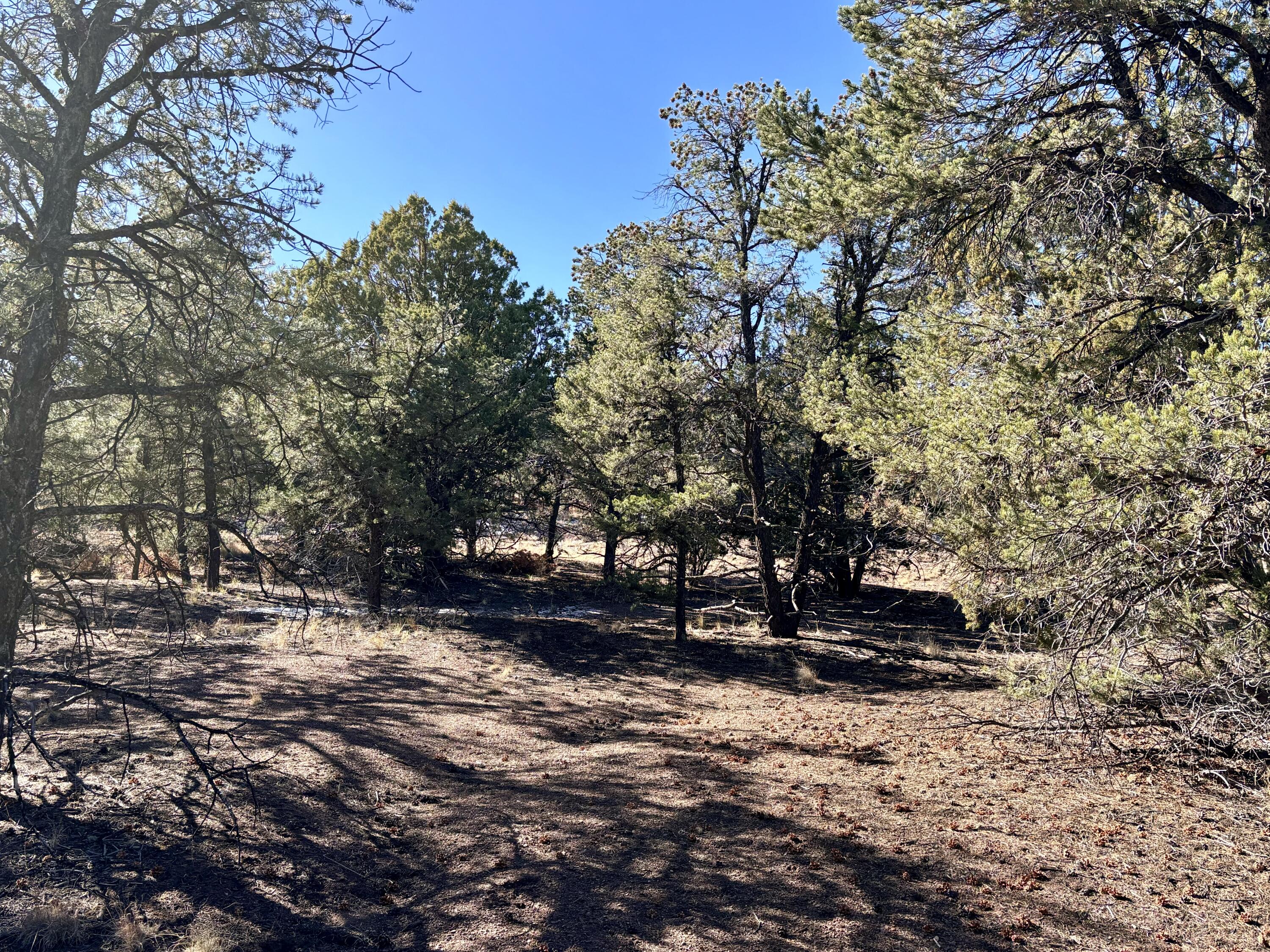 Lot 163 Windmill Drive