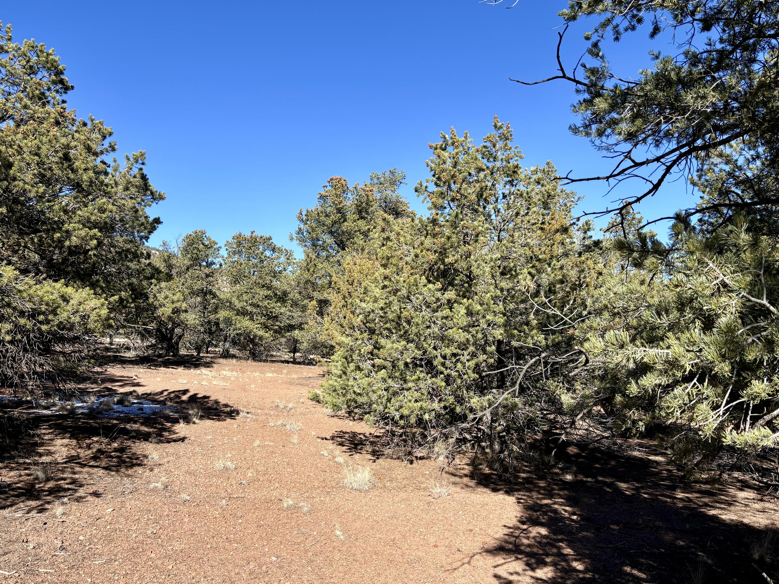 Lot 163 Windmill Drive