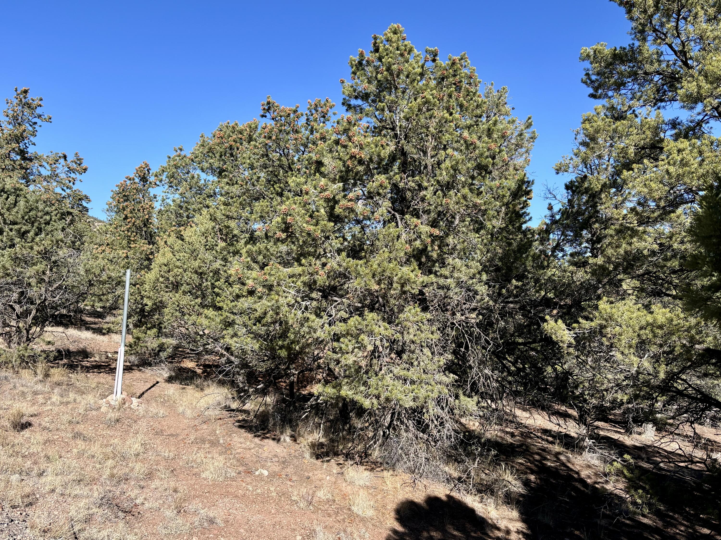 Lot 163 Windmill Drive