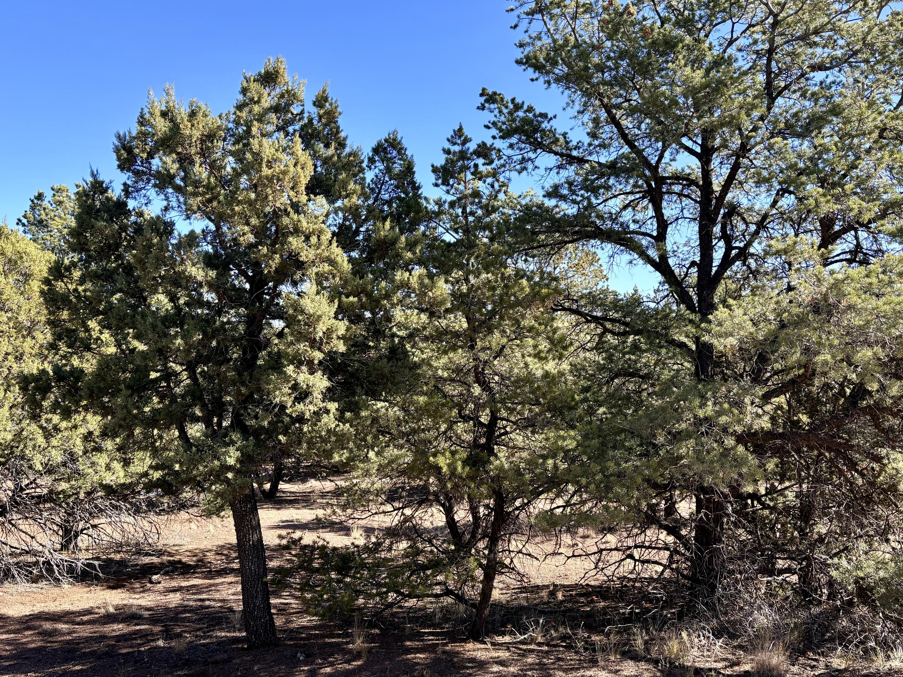 Lot 163 Windmill Drive