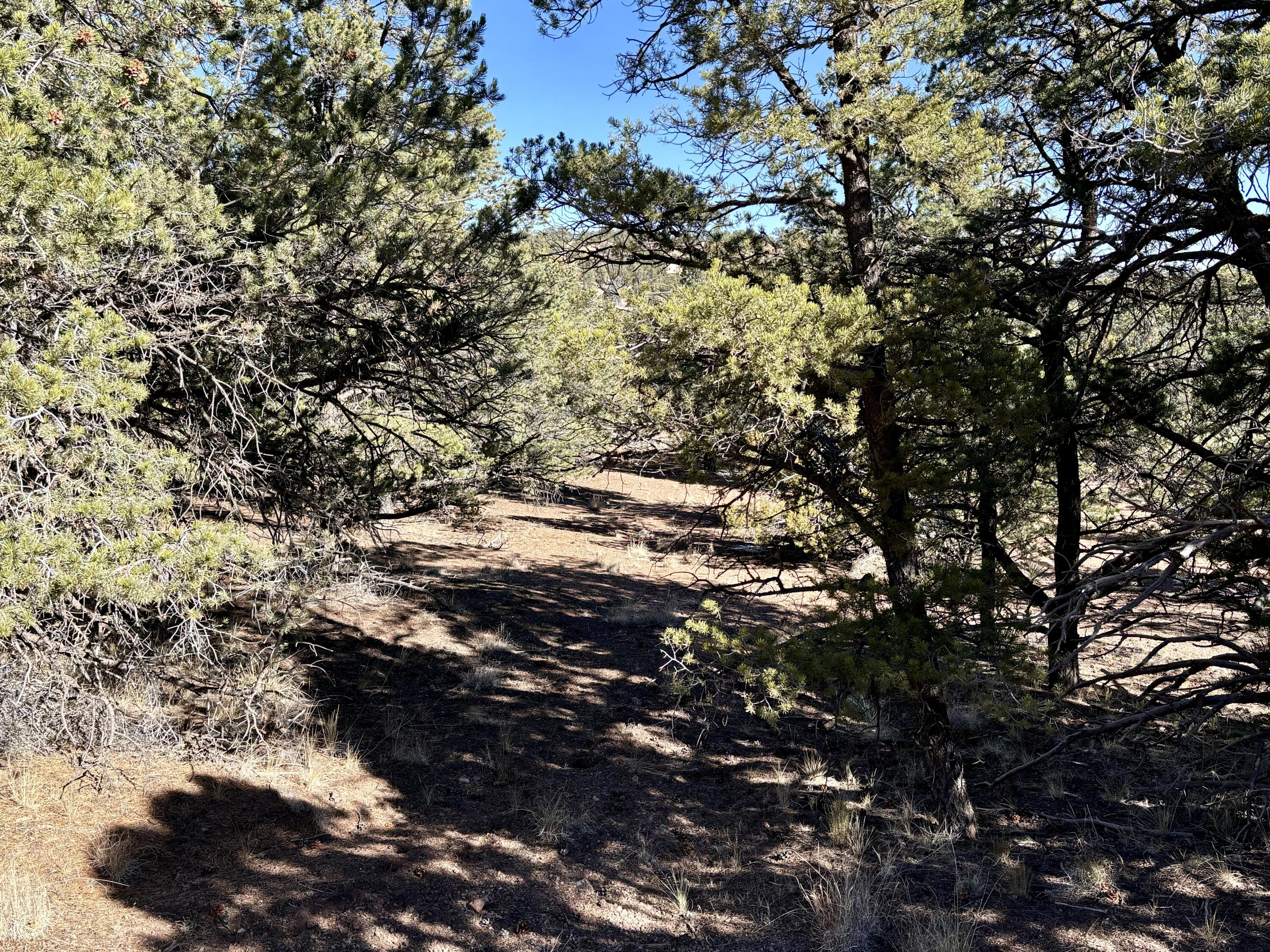 Lot 163 Windmill Drive