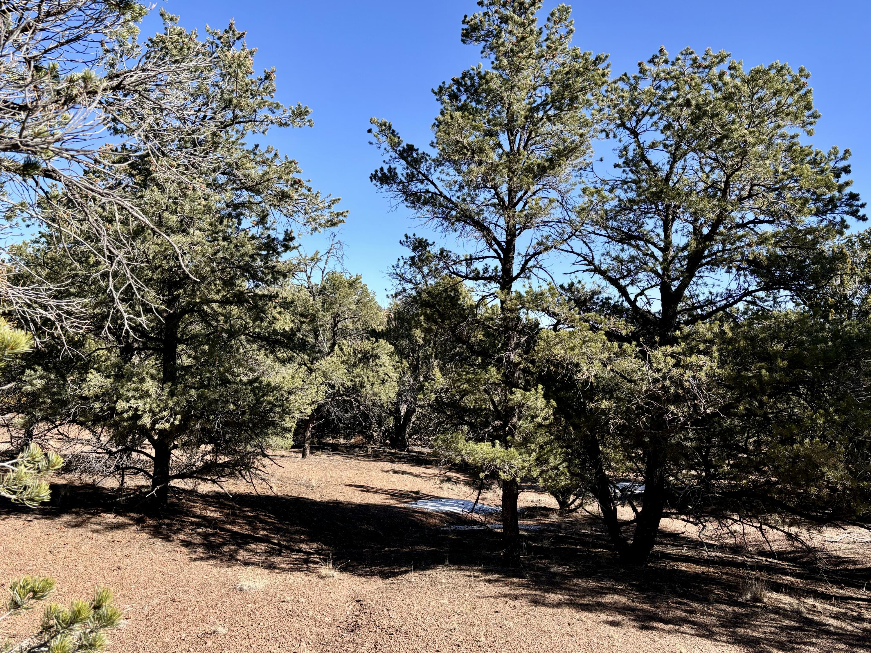 Lot 163 Windmill Drive