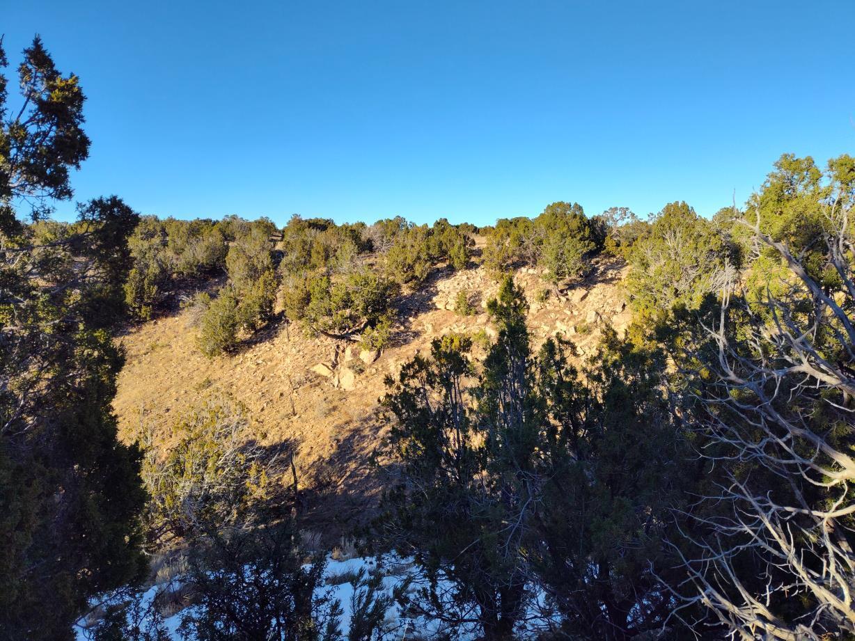 Ravine Lane