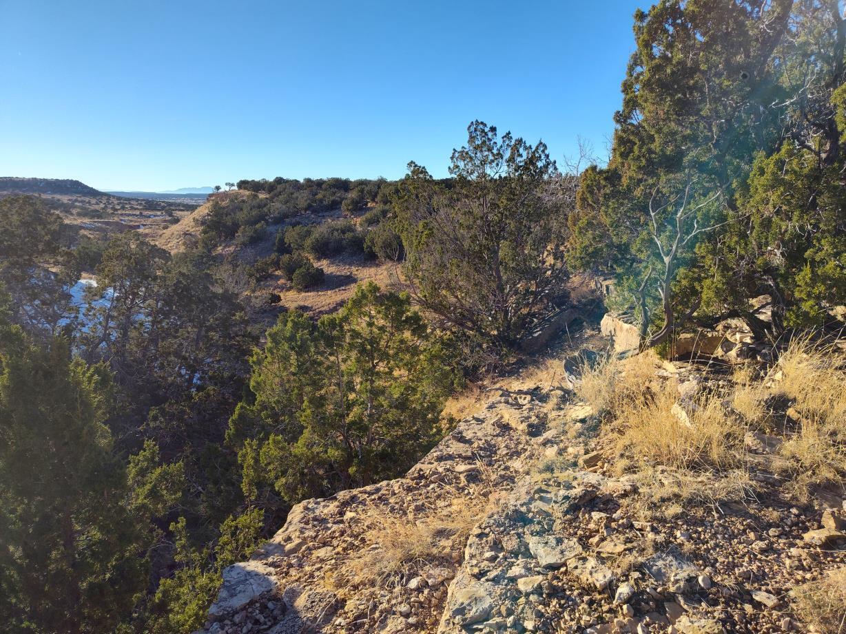 Ravine Lane