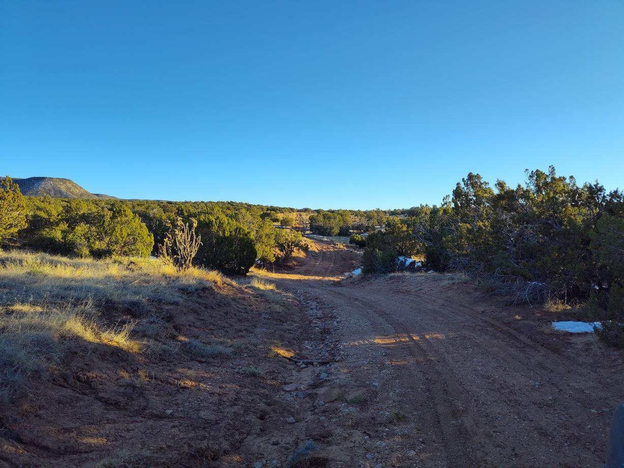 Ravine Lane