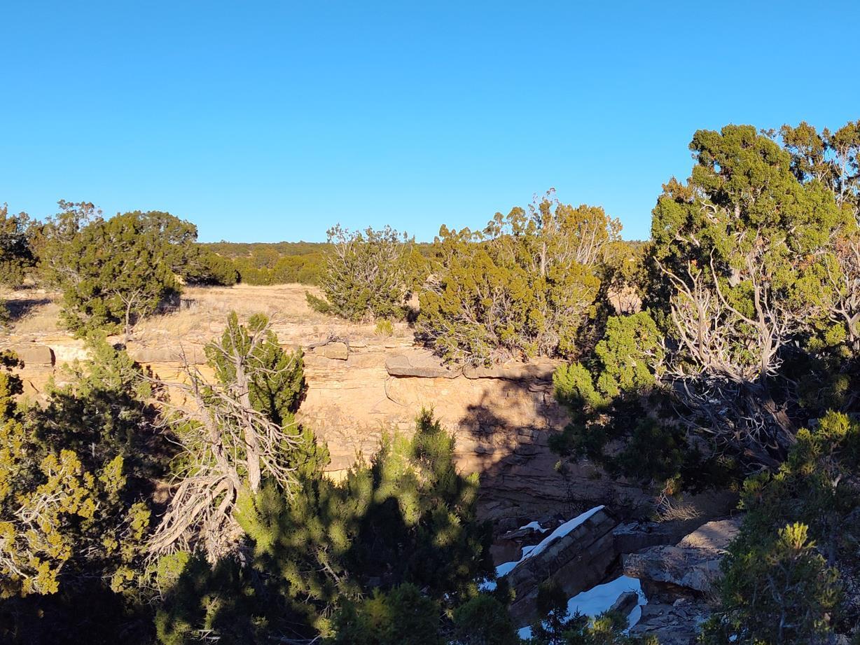 Ravine Lane