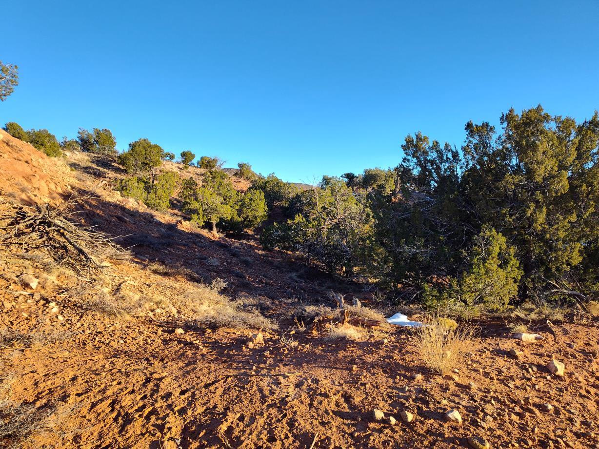 Ravine Lane