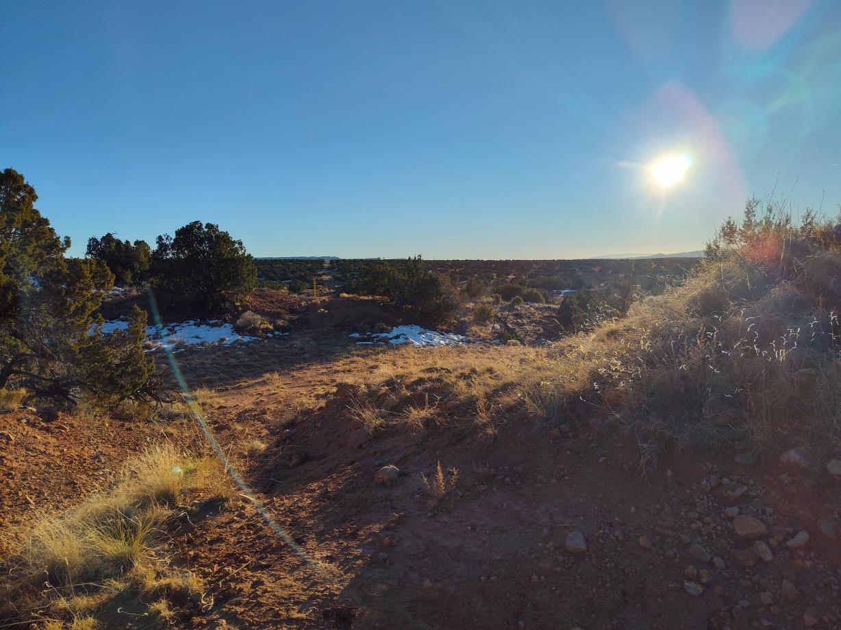 Ravine Lane