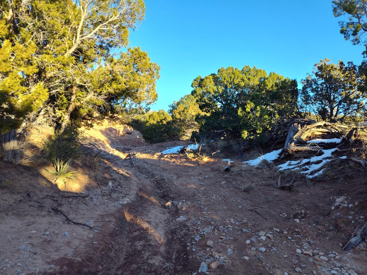 Ravine Lane