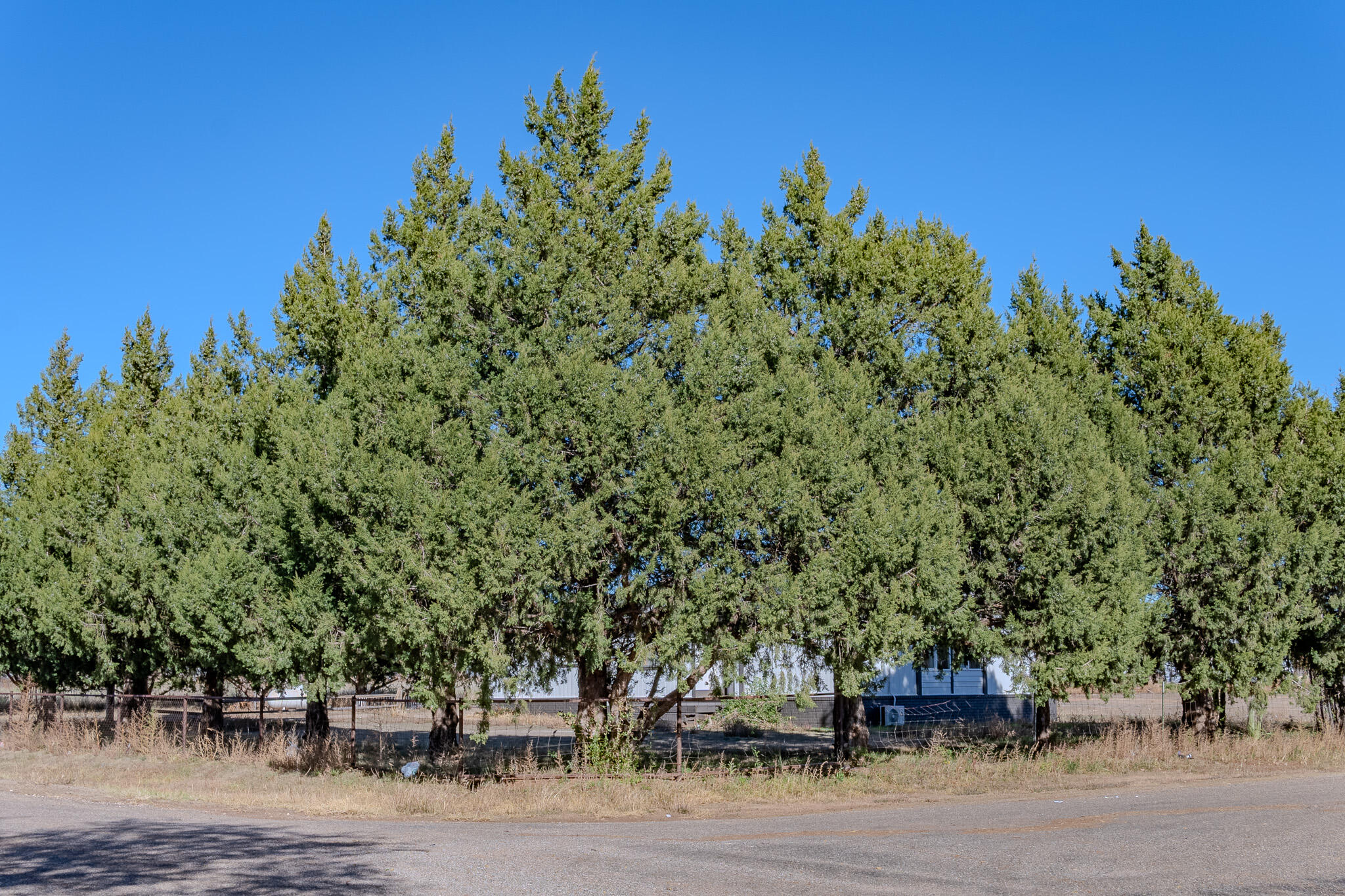 317 FRONTIER Road